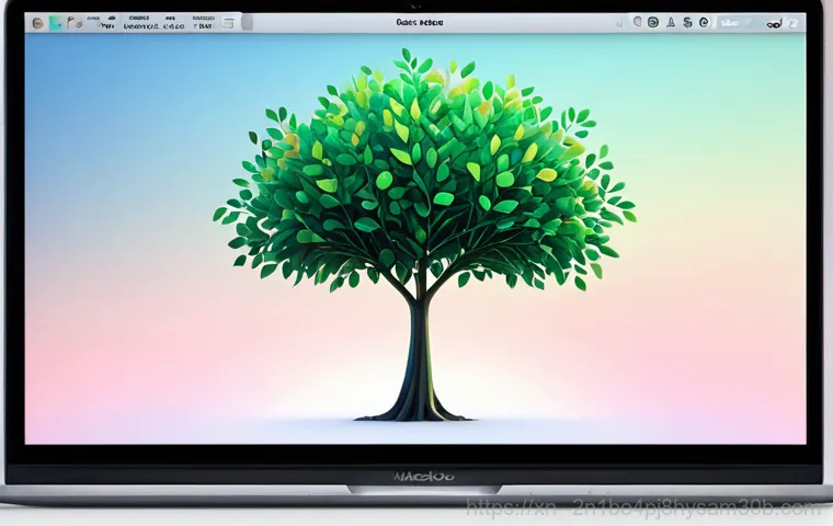 주교동 macosX재설치 포맷  초기화 - **Prompt 2: The Command Center of Disk Utility**
    A close-up, slightly elevated shot of a MacBook...