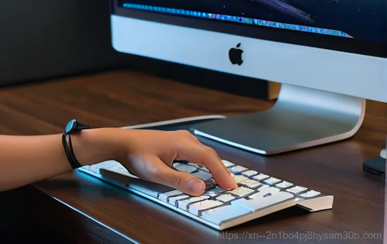 소하동 해킨토시 재설치 포맷  초기화 - A frustrated individual, a young adult of indeterminate gender, sits in front of a computer screen d...