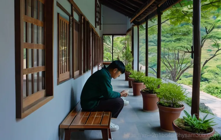 아름다운 부암동, 그 이면에 감춰진 불편한 진실 5가지 1