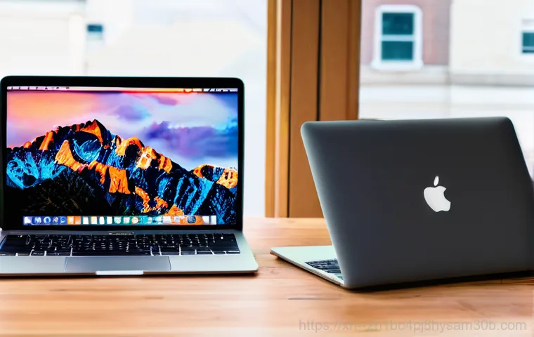 공릉동 맥북 사용자 필수! macOS 재설치 포맷 초기화 A to Z 꿀팁 15