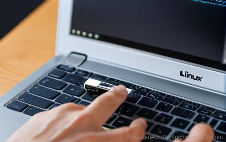 강북구 linux재설치 포맷  초기화 - A person, dressed in everyday casual wear, is intently focused on backing up important data. Their h...
