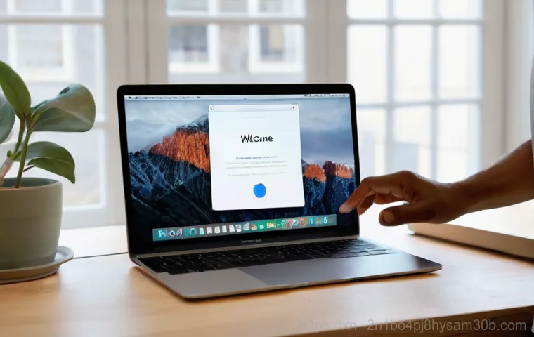 동자동 macosX재설치 포맷  초기화 - **Prompt:** A focused and organized person, mid-30s, is diligently backing up their data. They are s...