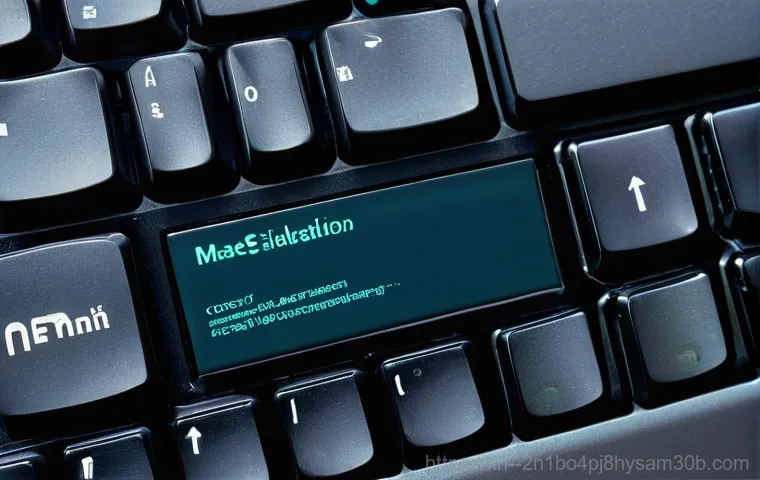 공릉동 linux재설치 포맷  초기화 - **Prompt 2: A diligent user backing up important data before a system reset.**
    "A person in thei...