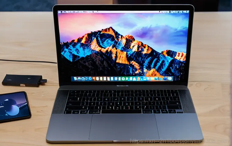 청암동 macosX재설치 포맷  초기화 - A person, mid-20s, with a focused expression, diligently backing up their MacBook data before initia...