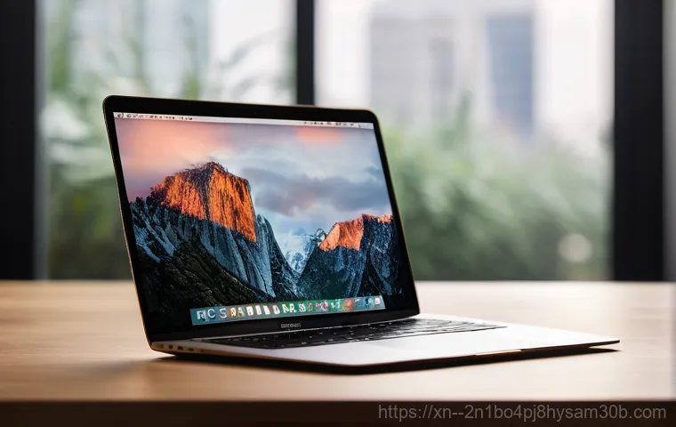 일산 맥북 사용자라면 모르면 손해! macOS 재설치 포맷 초기화 완벽 가이드 1