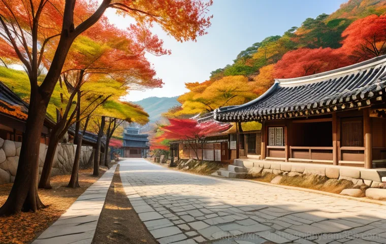 도봉구 STATUS_NO_MEMORY - A heartwarming scene in Dobong-gu. An elderly Korean woman with a gentle smile is receiving homemade...