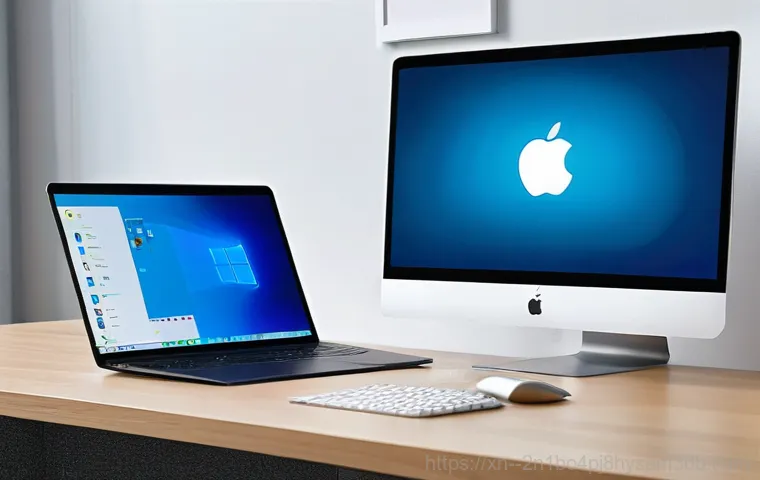 양화동 운영체제 os 재설치 포맷  초기화 - A warm, inviting home office scene where a diligent person, mid-30s, is carefully backing up data. T...