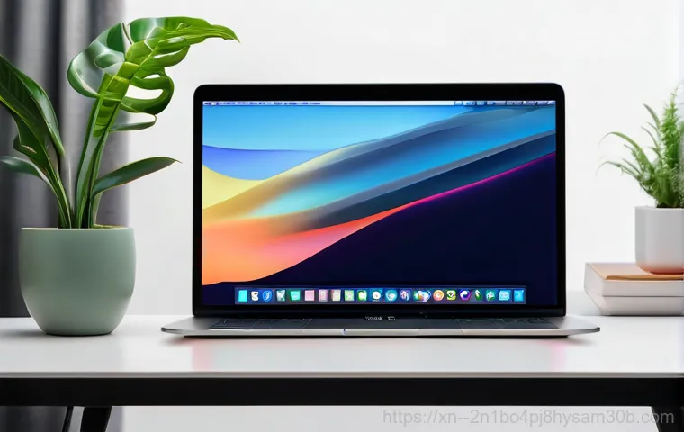 의주로 운영체제 os 재설치 포맷  초기화 - A person, 20s-30s, with a focused expression, interacting with a MacBook. On the screen, a Time Mach...