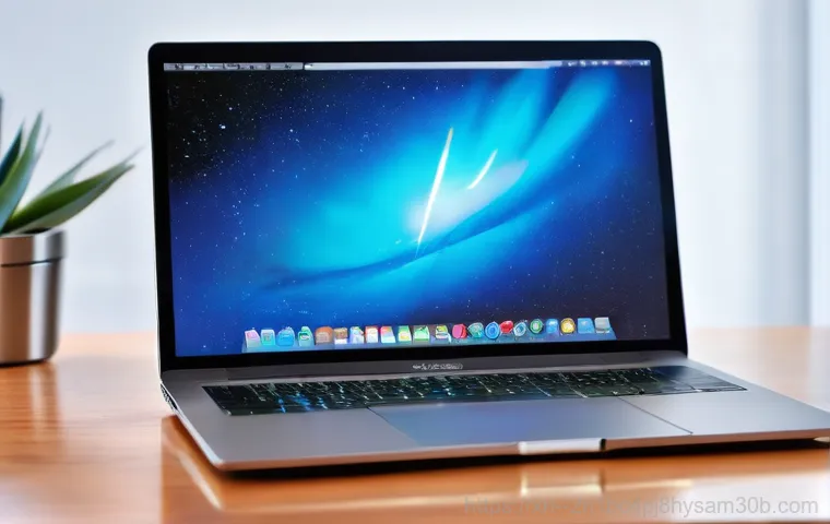 대덕동 운영체제 os 재설치 포맷  초기화 - **Prompt:** A focused individual is meticulously backing up data from their laptop. They are calmly ...