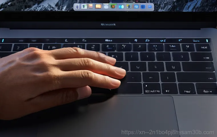 경기광주 macosX재설치 포맷  초기화 - **Prompt:** A person with a focused expression is carefully connecting an external SSD or hard drive...