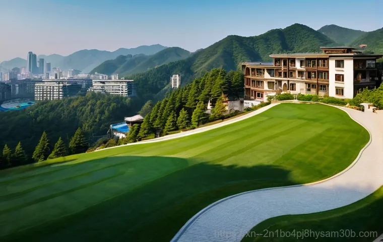 평창동 STATUS_FLOAT_OVERFLOW - **Prompt 1: The Weight of Affluence in Pyeongchang-dong**
    A sophisticated, cinematic wide shot o...