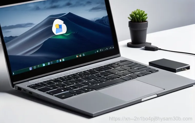 망원동 linux재설치 포맷  초기화 - **Prompt:** A young adult, dressed in comfortable casual wear, looks stressed and frustrated while s...