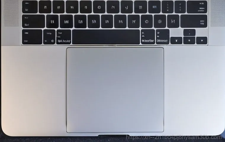 장항동 맥북프로 판매 및 수리 - **Image Prompt 1: MacBook with Question Mark Folder Issue**
    A concerned person, dressed in smart...