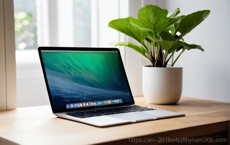 오래된 맥북을 새것처럼! macOS 클린 설치로 성능 되찾는 놀라운 방법 1