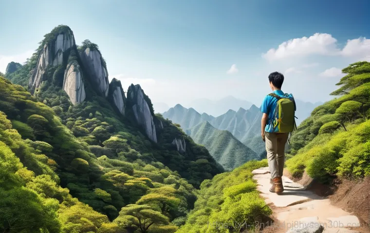 북한동 숨은 신호없음 구역, 안전한 나들이 위한 필수 꿀팁 1