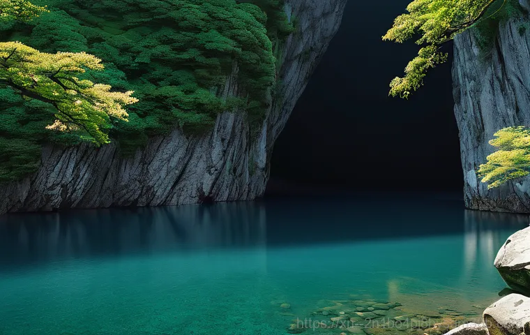 공릉동 STATUS_FLOAT_DIVIDE_BY_ZERO 이미지 1