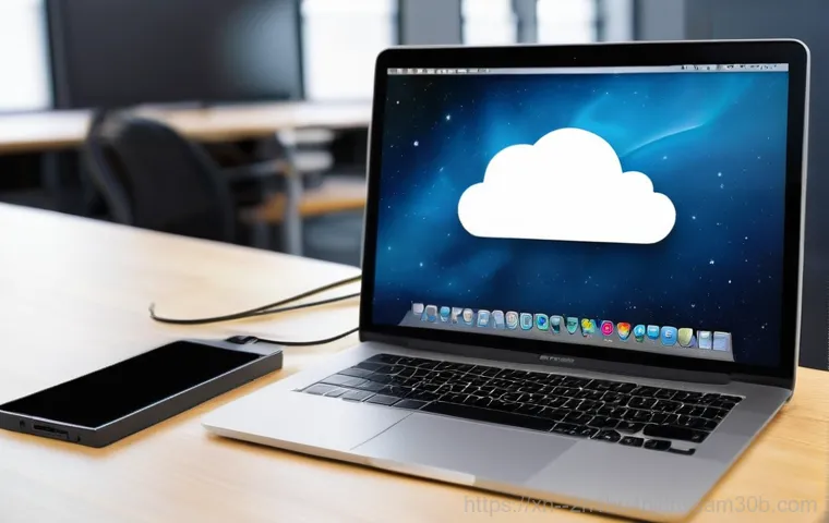 백석동 macosX재설치 포맷  초기화 - **Prompt 1: Frustrated User with Slow Mac**
    A person, appearing in their late 20s or early 30s, ...