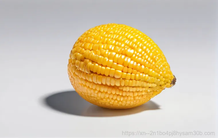 북창동 STATUS_KERNEL_MODULE_NOT_FOUND, 이 꿀팁 모르면 시스템 멈춘다 1