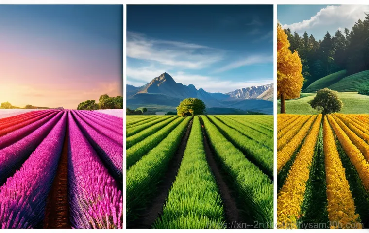 강남 IT 전문가만 아는 FAT32 파일 시스템 4GB 한계 돌파 비밀 꿀팁 1