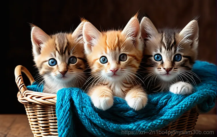 초월읍 STATUS_INVALID_THREAD - A young wizard, appearing to be in their early teens, stands amidst ancient, towering bookshelves in...