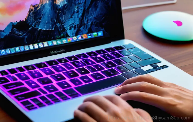 사직동 맥OS 재설치 포맷 초기화, 실패 없이 완벽하게 하는 놀라운 꿀팁 1