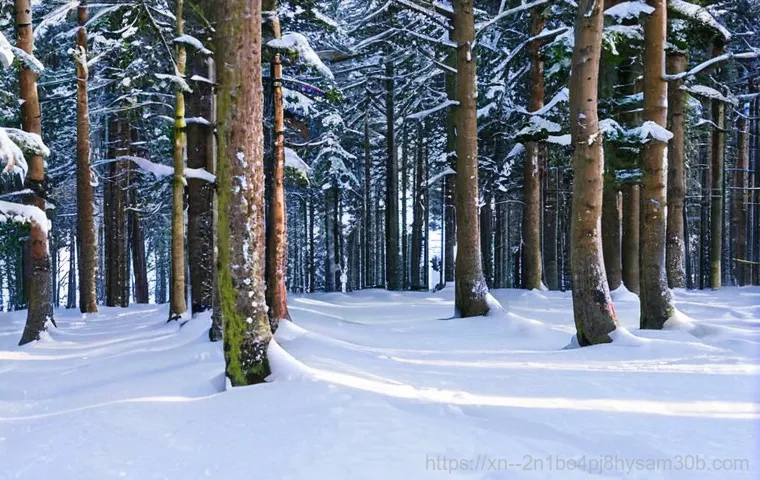 안암동 STATUS_INVALID_IMAGE_FORMAT - ## Annoying Error! What Exactly is 'STATUS_INVALID_IMAGE_FORMAT'? 안암동 STATUS_INVALID_IMAGE_FORMAT - ## Annoying Error! What Exactly is 'STATUS_INVALID_IMAGE_FORMAT'?