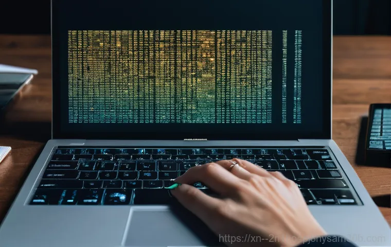 필운동 STATUS_DISK_CORRUPTION - **"A stylized computer monitor displaying a 'STATUS_DISK_CORRUPTION' error message, with elements of...