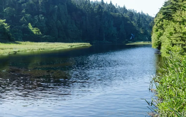 PC 멈춤의 악몽, 드라이버 때문에 일어나는 시스템 크래쉬 알아보기 1