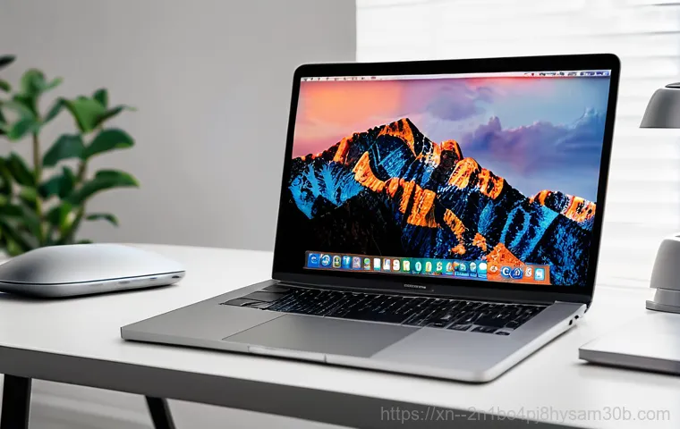 당산동 맥북 초기화 OS 재설치, 실패 없이 끝내는 꿀팁 대방출 1