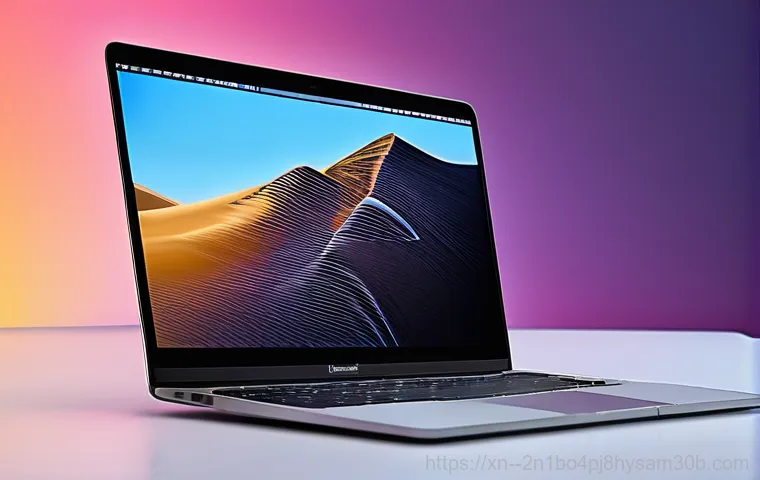 초월읍 맥OS 재설치 포맷 초기화, 모르면 손해 볼 놀라운 비법 1