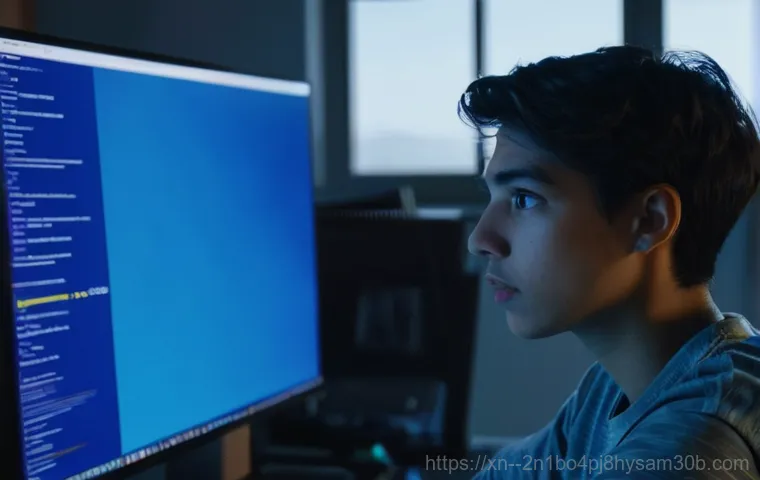 우면동 VIDEO_MEMORY_MANAGEMENT_INTERNAL 오류, 전문가가 밝히는 놀라운 해결 비법 1