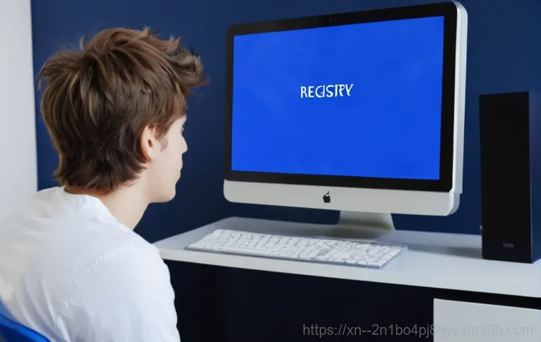 대흥동 REGISTRY_ERROR 마주쳤다면? 컴퓨터 살리는 단 하나의 방법 1