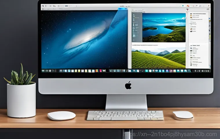 상도동 맥윈도우 부트캠프_bootcamp 재설치 포맷  초기화 - A user, with a focused and capable expression, is expertly navigating the "Boot Camp Assistant" appl...