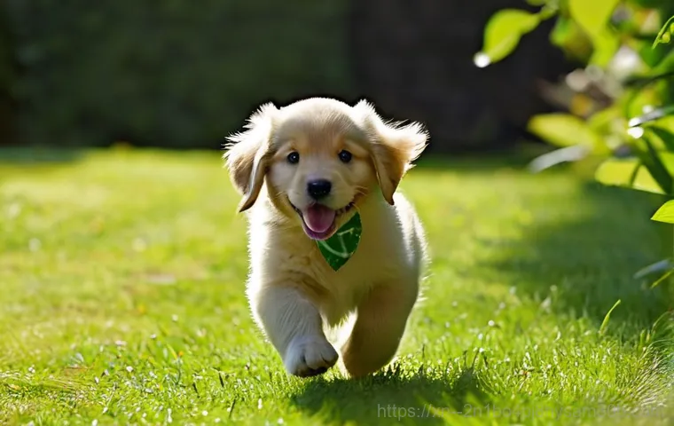 대흥동 나스 nas 설정및수리 - **Prompt 1: Cozy Autumn Cafe Scene**
A young woman with long, wavy brown hair, wearing a stylish... 대흥동 나스 nas 설정및수리 - **Prompt 1: Cozy Autumn Cafe Scene**
A young woman with long, wavy brown hair, wearing a stylish...
