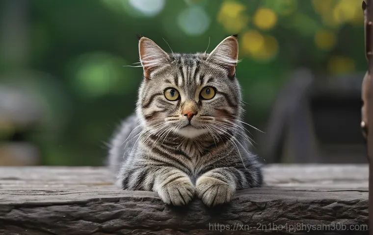 소하동 STATUS_INVALID_OBJECT 이미지 2 소하동 STATUS_INVALID_OBJECT 이미지 2