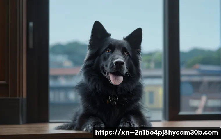 덕양구 WIN32K_POWER_WATCHDOG_TIMEOUT 오류, 지금 당신만 모르는 특급 해결책 4 덕양구 WIN32K_POWER_WATCHDOG_TIMEOUT 관련 이미지 2