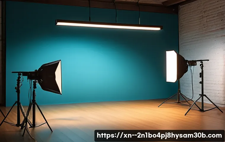 장항동 입력신호가 없습니다 관련 이미지 2