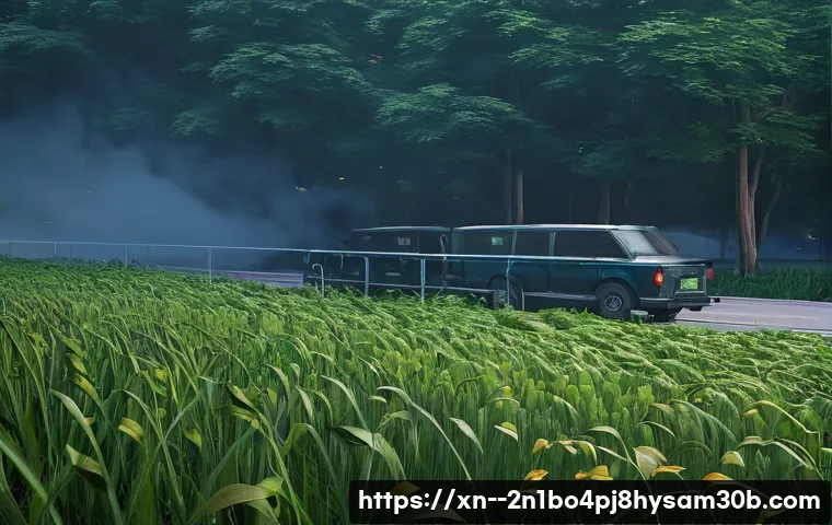 장지동 SYSTEM_LICENSE_VIOLATION 뜨면 모르면 손해 볼 해결 꿀팁 1