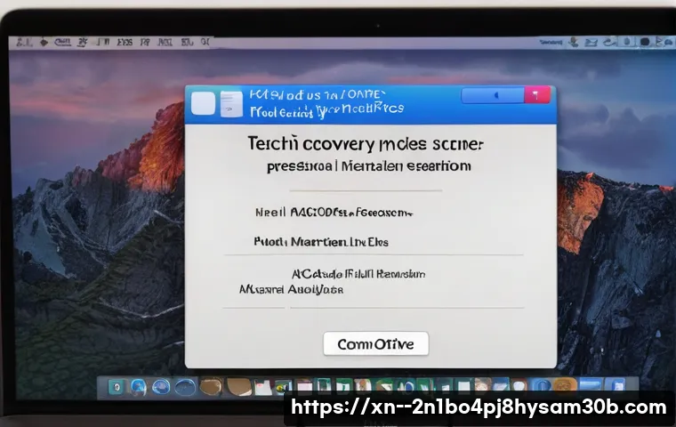 대림동 macosX재설치 포맷  초기화 관련 이미지 1