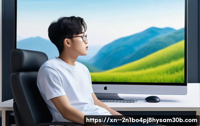 가평군 STATUS_IMAGE_ACCESS_DENIED, 은폐된 진실을 파헤치다 1