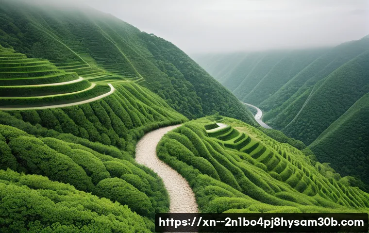 가평군 STATUS_IMAGE_ACCESS_DENIED, 은폐된 진실을 파헤치다 4 가평군 STATUS_IMAGE_ACCESS_DENIED 관련 이미지 2