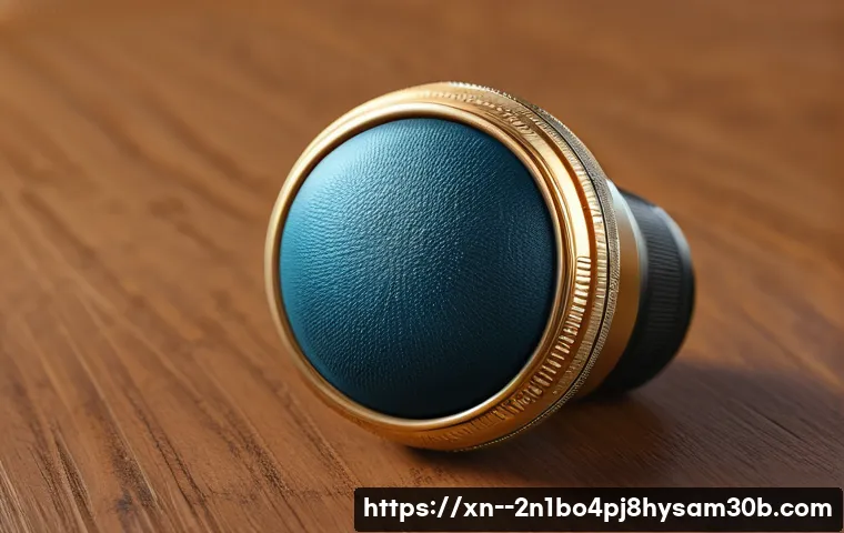 일원동 STATUS_KERNEL_DEBUG_FAILURE 관련 이미지 1