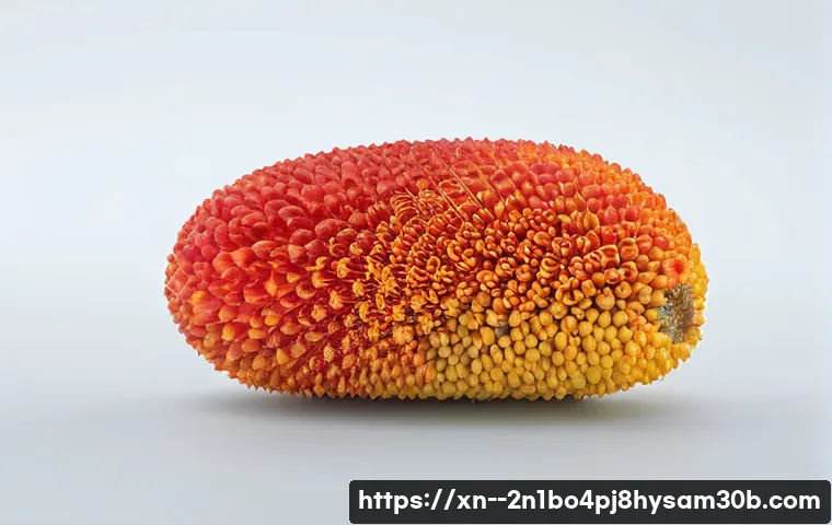 STATUS_KERNEL_MODULE_INVALID 해결 가이드: 커널 모듈 문제 완벽 분석 4 북창동 STATUS_KERNEL_MODULE_INVALID 관련 이미지 2