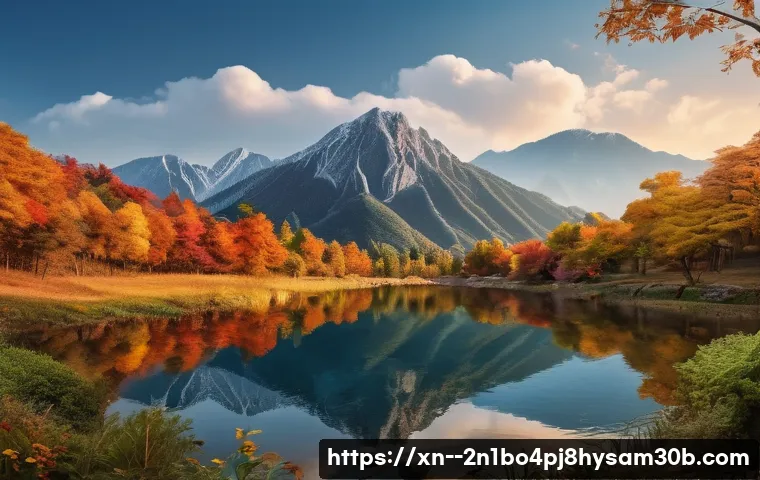 발산동 공장초기화복구 관련 이미지 1