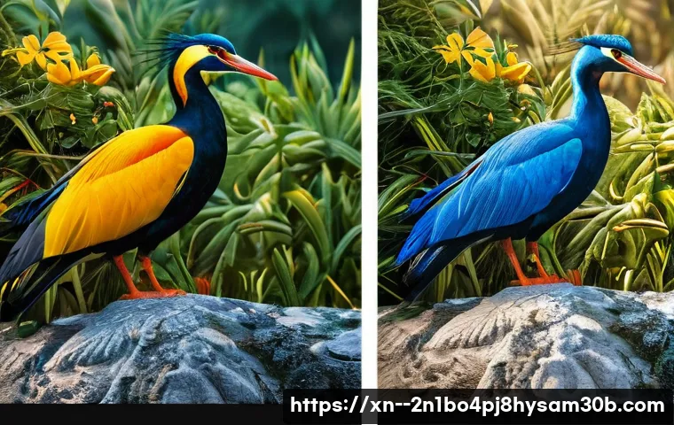 천왕동 NAS 먹통 긴급 상황? 방문 수리로 단번에 해결하는 놀라운 비법 공개! 1