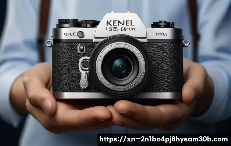 서린동 INVALID_KERNEL_HANDLE 관련 이미지 1