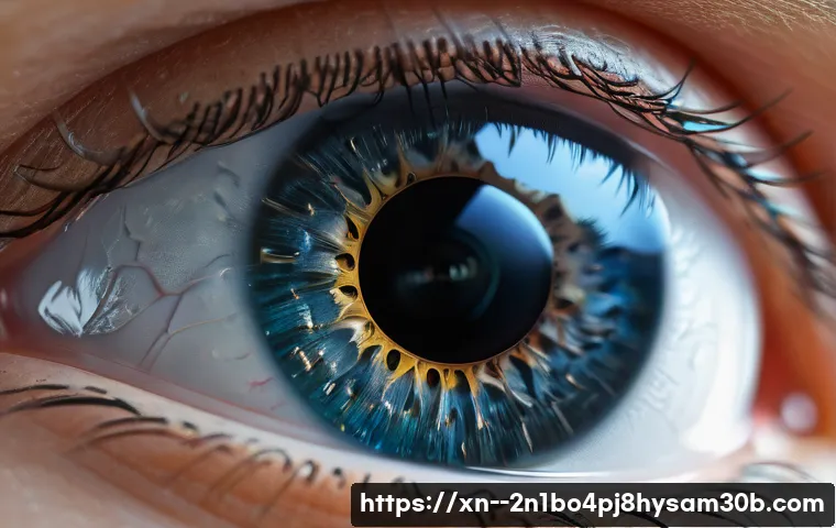 왕십리 IO1_INITIALIZATION_FAILED 관련 이미지 2