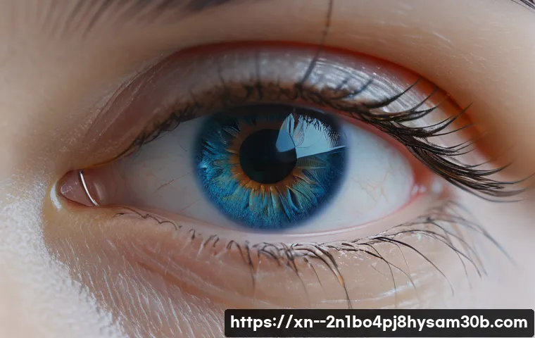 종로구 STATUS_PROTECTION_ERROR 관련 이미지 1