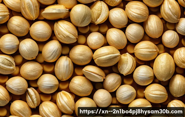 서강동 KERNEL_MODE_HEAP_CORRUPTION 관련 이미지 1