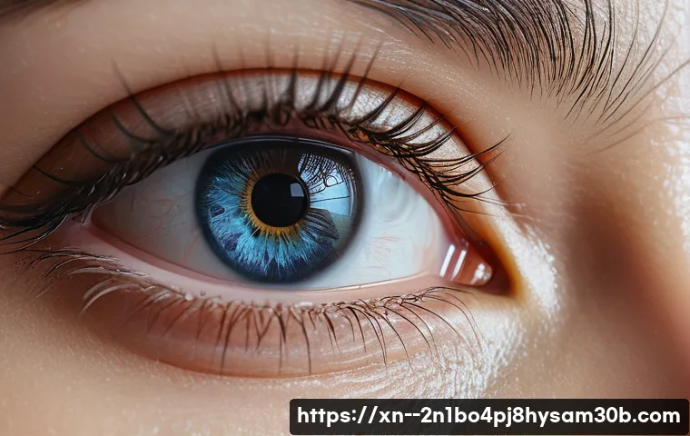 수서동 press  f4  key 관련 이미지 2